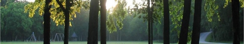 Editing-Putting Together the&nbsp;Puzzle