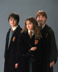 Harry, Hermione and Ron