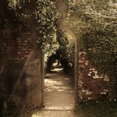 secret-garden-garden