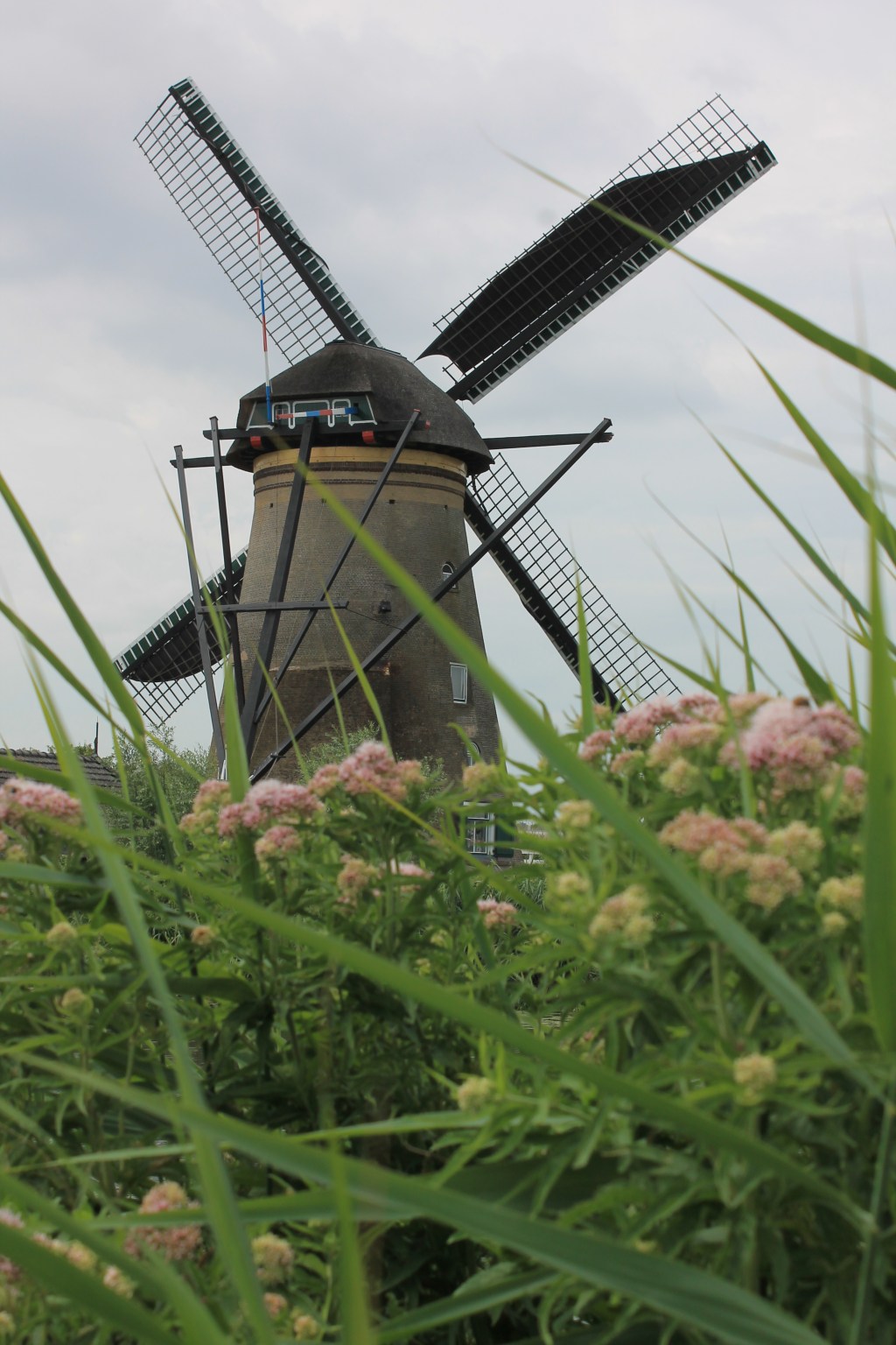 An Instrument of&nbsp;Peace