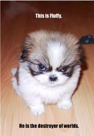 Fluffy world destroyer