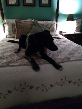 img_20180813_230103909