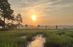 Coffee and Comfort: The Wonder of the Pink Sun